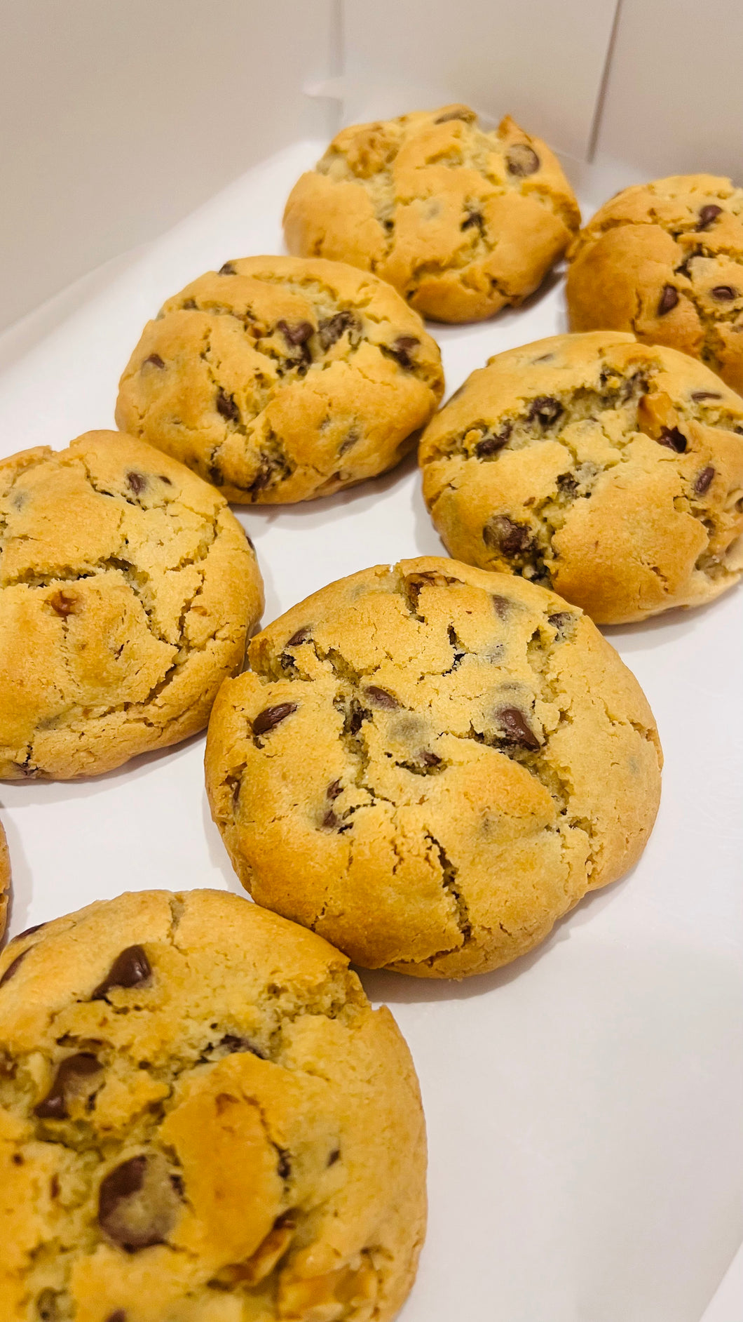 Chonky chocochip & walnut cookies (6 cookies)