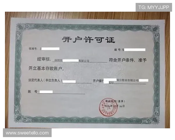 凯发开户流程详解:详细介绍开户所需资料准备及提交流程