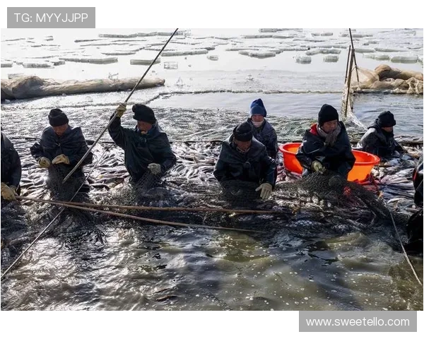 探索K8捕鱼国际最新优惠政策，助力玩家轻松捕鱼赚取丰厚收益实现财富自由